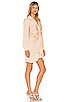 Tie Curious Dress, view 2 of 3, click to view large image.