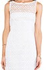 view 4 of 4 Tisa Crochet Lace Dress in Optic White