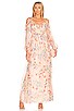Chiffon Maxi Dress, view 1 of 3, click to view large image.