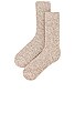 view 2 of 2 COZYCHIC SOCKS 양말 in Stone & White