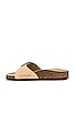 BIRKENSTOCK Madrid Torty Big Buckle Sandal in Almond | REVOLVE