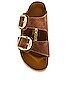 view 4 of 5 ARIZONA BIG BUCKLE サンダル in Cognac
