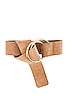 view 3 of 3 Tumble Suede Belt in Sand & Gold