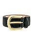 view 3 of 3 Kennedy Belt in Black & Gold