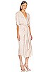 view 2 of 4 Sami Dress in Blush