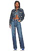 view 4 of 4 Cybil Crop Denim Jacket in Fabian