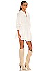 view 2 of 3 Meadow Mini Dress in Ivory