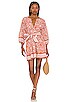 view 1 of 4 Gwen Mini Dress in Anila Block Print