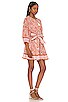 view 3 of 4 Gwen Mini Dress in Anila Block Print