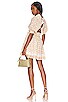 view 1 of 3 Dallas Mini Dress in Carnation Print