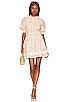 view 2 of 3 Dallas Mini Dress in Carnation Print