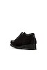view 3 of 7 CHAUSSURES WALLABEE in Black Suede