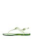 view 5 of 5 Natalee Jelly Sandal in Pale Pistachio