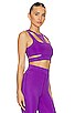 view 2 of 4 ALINE ブラ in Royal Purple