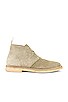 view 1 of 5 BOTTINES CHUKKA in Taupe