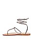view 5 of 5 Teodoro Lace Up Sandal in Siena