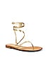 Coccorocci Sandal, view 2, click to view large image.