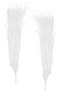 view 1 of 2 Gaia's Glove in Off White