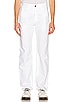 view 1 of 3 Standard Utility Painter Straight Leg Pant in White