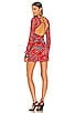 view 1 of 5 Zeppelin Mini Dress in Red Paisley