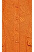 view 5 of 5 CLAUDIA 쇼츠 in Toffee Brown
