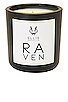 view 1 of 2 Raven Terrific Scented Candle in 