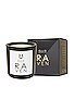 view 2 of 2 Raven Terrific Scented Candle in 