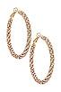 view 1 of 3 Crystal Hoop Earrings in Gold