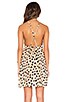 view 3 of 5 Naples Dress in Django Print