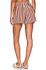 view 3 of 4 Sereno Shorts in Maya Stripe Print