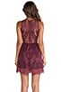 view 4 of 6 Lulu Lace Mini Dress in Wine