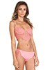 view 2 of 4 X REVOLVE Bat Your Lashes Bra in Pink Spiderweb