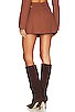 view 3 of 4 Alysa Mini Skirt in Brown