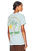 view 1 of 5 Sun Palms Tee in Pale Green
