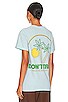 view 4 of 5 Sun Palms Tee in Pale Green