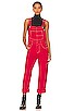 view 1 of 4 Ziggy Denim Overall in Heart Eyes