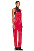 view 2 of 4 Ziggy Denim Overall in Heart Eyes