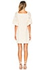 Daniella Mini Dress, view 3 of 3, click to view large image.