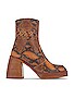 view 1 of 5 Ruby Shine Platform Boot in Brown Snake