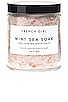 view 1 of 1 Mint Sea Soak Enlivening Bath Salts in Menthe & Romarin