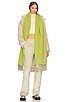 view 1 of 3 WOOL スカーフ in Celery
