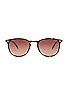 view 1 of 3 Kinney Sunglasses in Bio Cookie Tortoise & Bio Eclipse