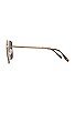 view 3 of 3 Royal Flush Sunglasses in Polarized Gold Brown