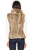 view 4 of 5 Lara Rabbit & Asiatic Raccoon Fur Vest in Natural