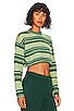 view 2 of 4 Kinley Cropped Pullover in Green Multi