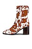 view 5 of 5 PG 부티 in Brown Cow