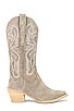 view 1 of 5 Dagget Boot in Taupe Suede