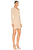 Long Sleeve Mini Polo Dress, view 2, click to view large image.