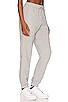 view 2 of 4 JUMPMAN CORE 스웻팬츠 in Dark Grey, Heather, & White