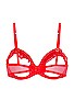 Journelle Odette Open Cup Bra in Scarlet | REVOLVE